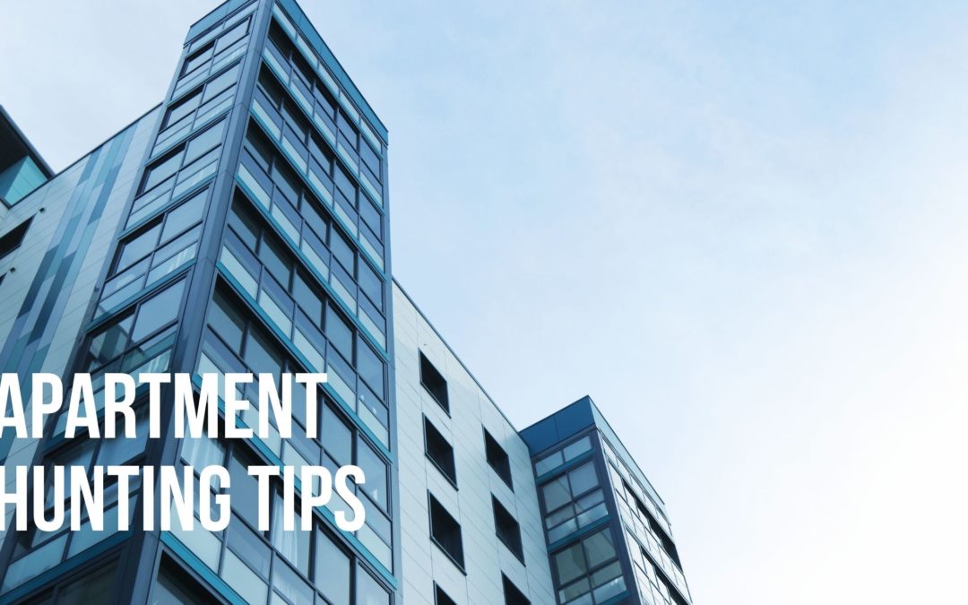 Apartment Hunting Tips